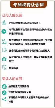 技術(shù)轉(zhuǎn)讓合同中的核心義務(wù)解析